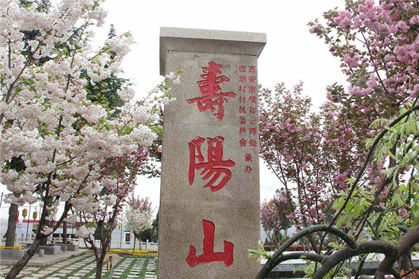 西安市寿阳山公墓图片