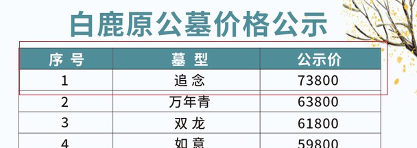 西安白鹿原公墓墓型追念