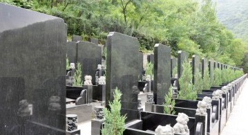 陕西九龙山公墓中国黑五号墓碑介绍