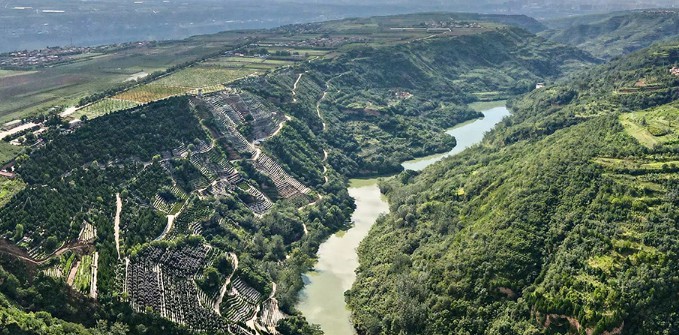 西安寿阳山墓园图片大全，价格公开