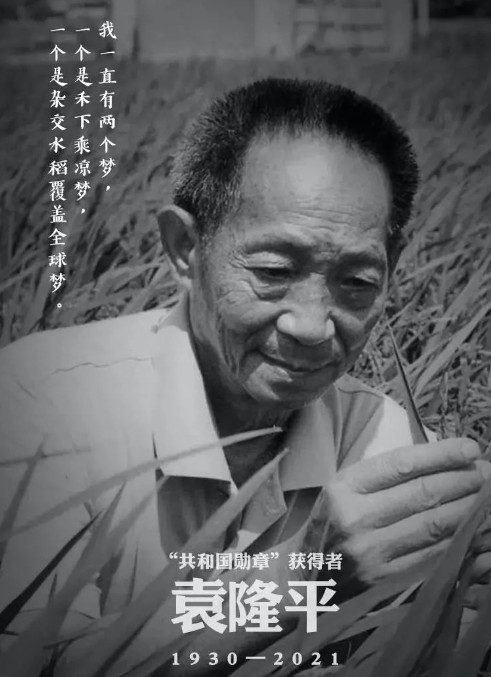 5月22日13时07分，“杂交水稻之父”袁隆平逝世，享年91岁。