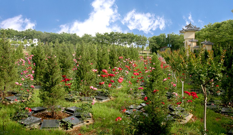 西安市凤栖山北区墓园图片