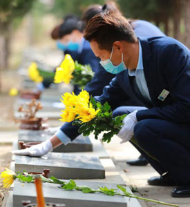 西安阎良汉皇陵墓园服务项目-陕西西安阎良汉皇树葬墓园