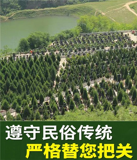 西安寿阳山墓园价格表最新，把握生命的难得机会