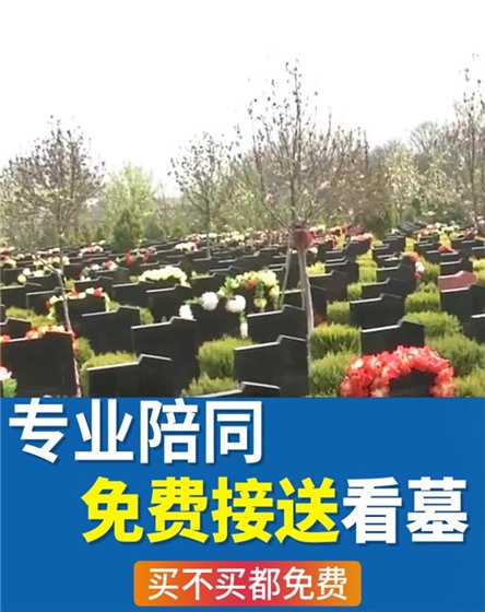 西安寿阳山墓地，为逝者操办