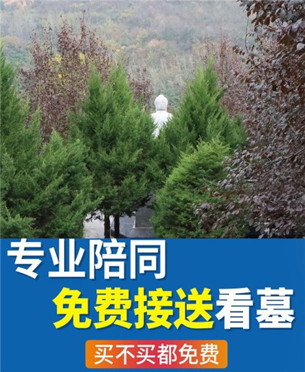 凤栖山人文纪念园2021年清明节现场祭扫活动通告-长安区凤栖山人文纪念园